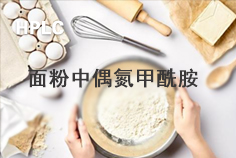 面粉中偶氮甲酰胺的高效液相色谱仪检测　